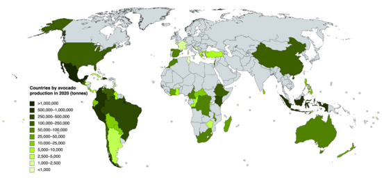 Countries by avocado production in 2020