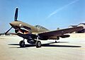 Curtiss P-40E Warhawk 2 USAF