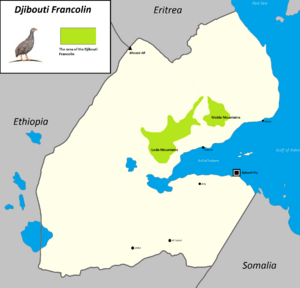 Djibouti Francolin Area