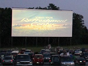 DriveIn-ScreenDuskMichele