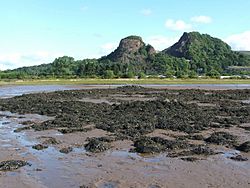 Dumbuck Crannog from the south - geograph.org.uk - 933175