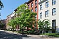 Elk Street Albany