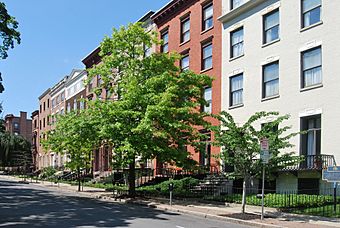 Three- and four-story brick buildings in various colors seen from across a street. A large tree is in the middle of the image.