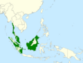 Eurylaimus ochromalus map