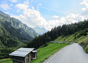 Farm shed on Safierstrasse (south view)