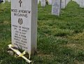 Flickr - The U.S. Army - Arlington National Cemetery (1)