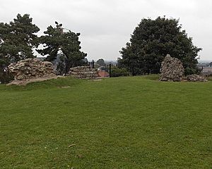 Fragmentary remains of Oswestry Castle (Geograph 4172468 by Jaggery)