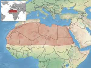 Gerbillus gerbillus distribution.png