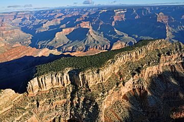 Grand Canyon DEIS Aerial Photo Diana Temple (5476533437).jpg