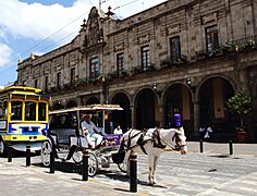 Guadalajara, Jalisco, México 18.0 (cropped)