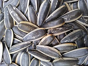 Guazi (sunflower seeds).jpg