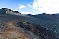 Hiking Maui's Haleakala Crater (43922981050)