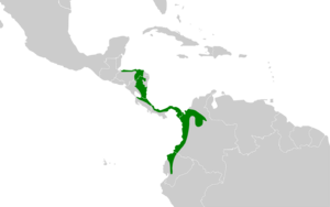 Hylophylax naevioides map.svg