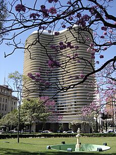 Ipê na Praça da Liberdade 2 By Sergio Cirino 2006