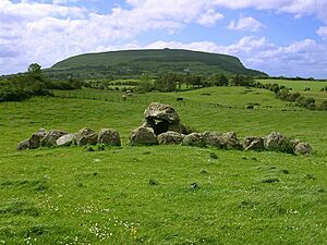 Ireland 139 bg 061702