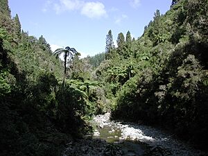 Karapoti Gorge