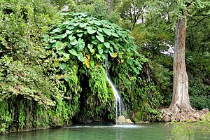 Krause springs natural pool 2013