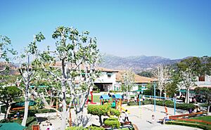 MalibuCountryMart3