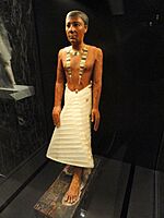 Metjetji statue, Saqqara, Old Kingdom, probably late 5th Dynasty, c. 2375-2345 BCE - Nelson-Atkins Museum of Art - DSC08112