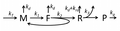 Model M0 of protein synthesis