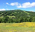 MountSnowSummer