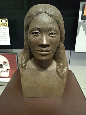 National Museum of Ethnology, Osaka - Reconstructed Lapita female