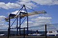 New Belfast Liebherr gantry crane