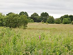 Newton Loch site, Sanquhar Farm, Newton-on-Ayr