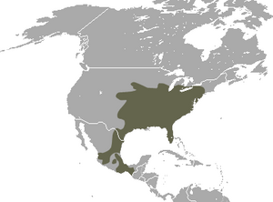North American Least Shrew area.png