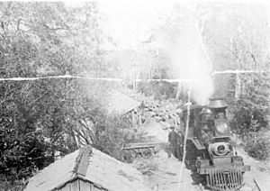 Pensacola and Andalusia Railroad Company train unloading logs into Escambia River (5464363801)