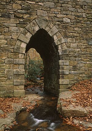 Poinsett Bridge, SC Route 42, 2 miles Northwest of Route 11, 2.5 miles East of SC Route 25, Tigerville vicinity (Greenville County, South Carolina)