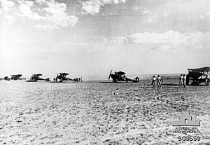 RE8 fighter aircraft of No 1 Squadron AFC in Palestine AWM photo B03559