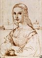 Raffaello Sanzio - Portrait of a Woman - WGA18948