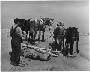 Removing drifts of soil which block highways near Guymon, Oklahoma. - NARA - 196417