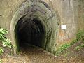 Rimutaka Incline 05