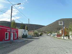 Rio Mayo - panoramio (1).jpg