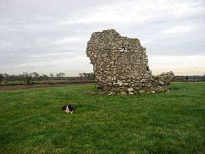 Ruined tower, Corballis, Co. Meath - geograph.org.uk - 634790