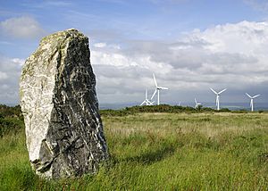 Standing-stone on St Breock Downs