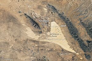 Samalayuca Dune field 2018