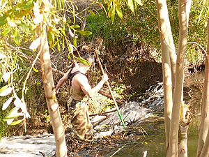 Skip Lisle Preparing to install flow device on Alhambra Creek