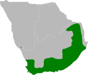 Strongylopus grayii IUCN distribution range.svg