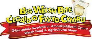 The Big Welsh Bite Food Festival logo.jpeg
