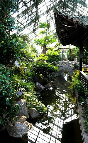 The Chinese Garden at Duke Gardens
