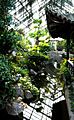 The Chinese Garden at Duke Gardens