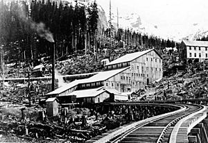 United Concentration Company's plant, Monte Cristo, Washington, 1894