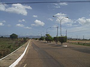 Vgm Guiana 049