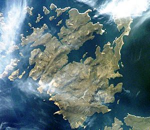 Weddell-Island-Satellite-Image