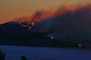 Wildfire on angel island