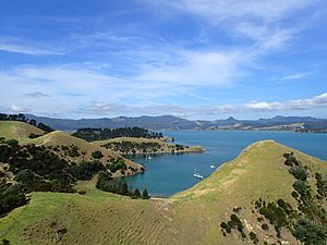 Woolshed Bay the next Bay past the anchored yachts before ridge covered with trees Whanganui Island Coromandel Harbour