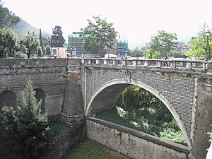 004 TivoliPonteGregoriano